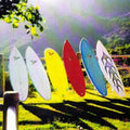 Fowler Quiver