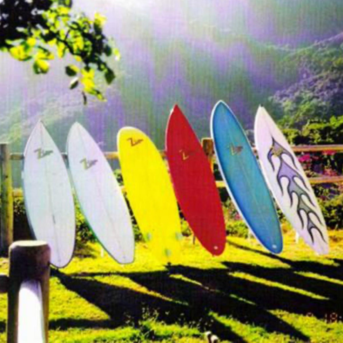 Fowler Quiver